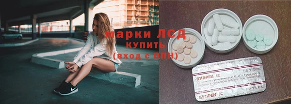 спиды Аркадак