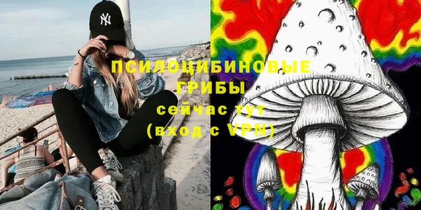 a pvp Армянск