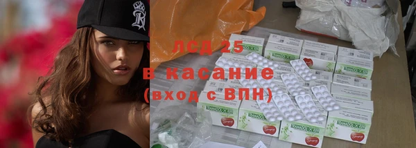 спиды Аркадак