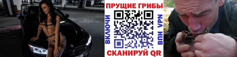 Псилоцибиновые грибы мицелий  Онега 